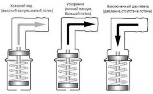 image4.png